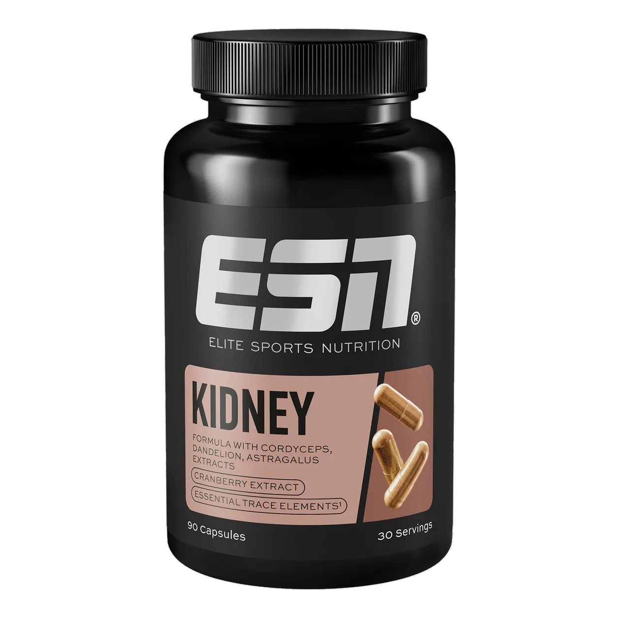 Kidney